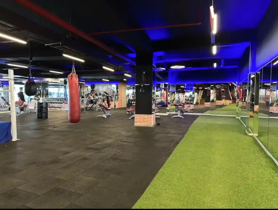 Fit216-Spor-Salonu-Fitness-Alani