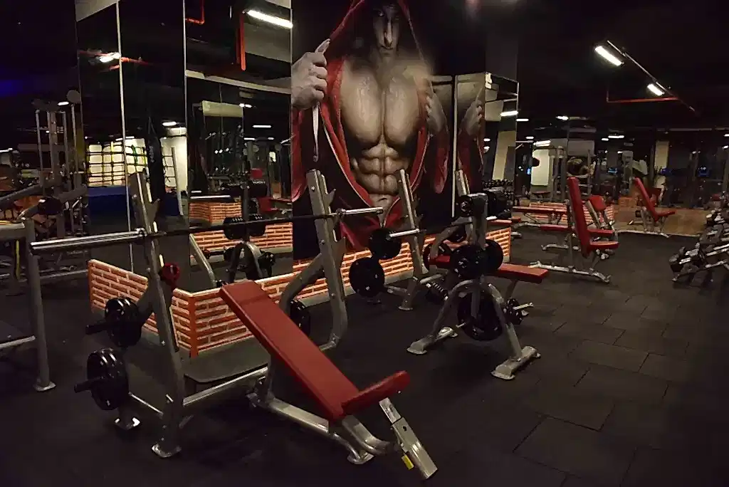 fitness234123