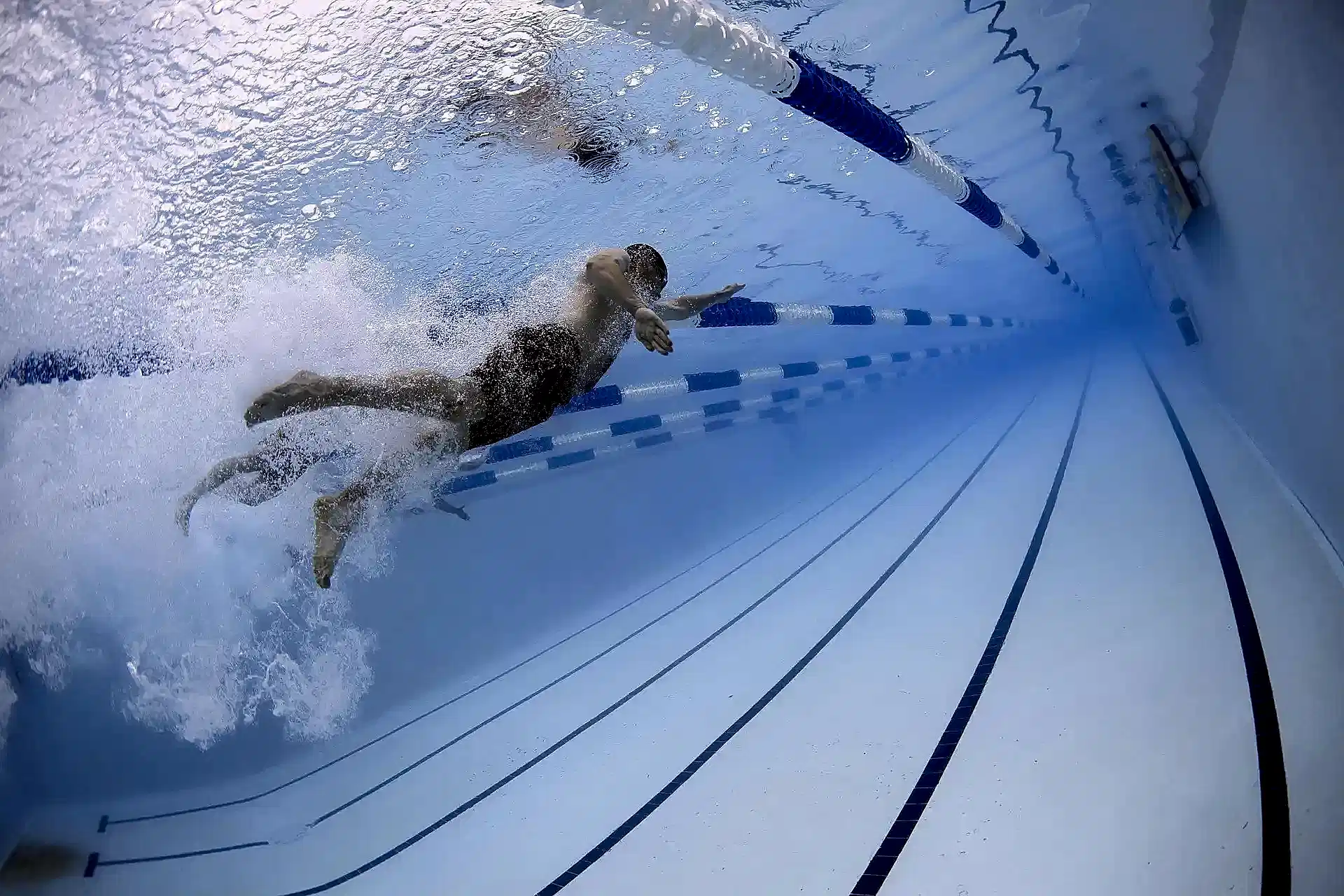 swimmers-79592_1920